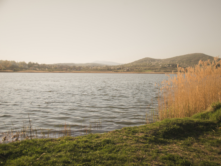 Суд обязал собственника участка в поселке под Самарой очистить берег от мусора