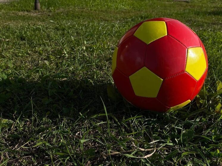 ФК «Иртыш» возглавил директор спортшколы «Красная звезда» Кирилл Ягодка