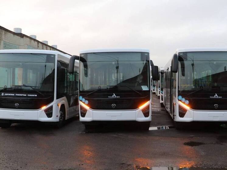 Хинштейн: на городских маршрутах появится 12 новых автобусов