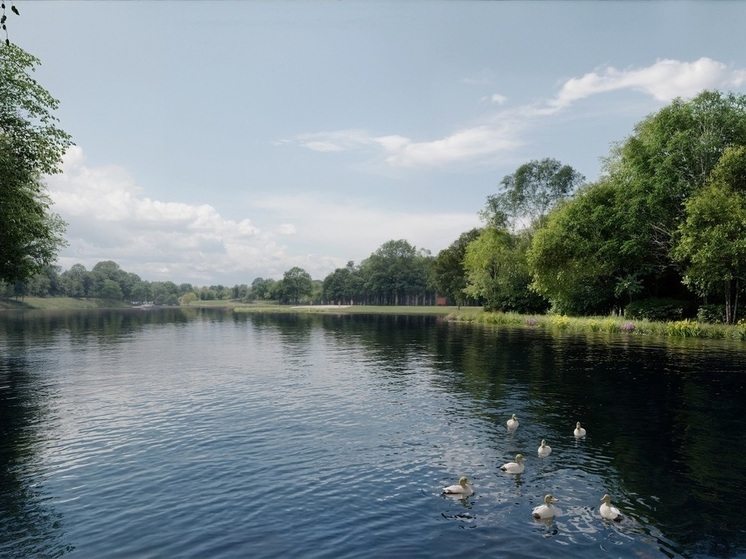 Стартовала реабилитация Шибаевского пруда на юго-востоке Москвы