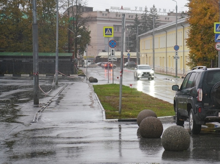 В Новомосковске идет голосование за проекты благоустройства на 2026 год