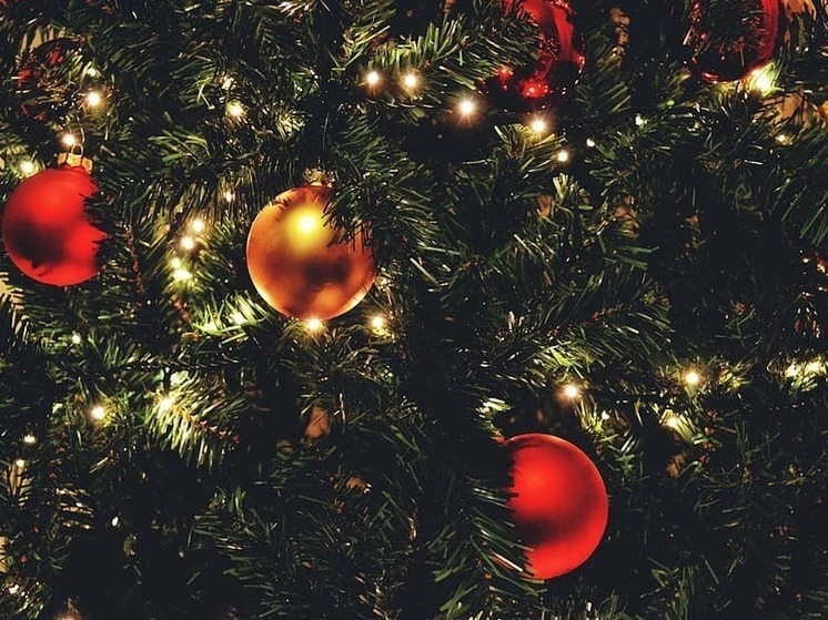 Власти Макеевки разъяснили ситуацию с оформлением городской елки