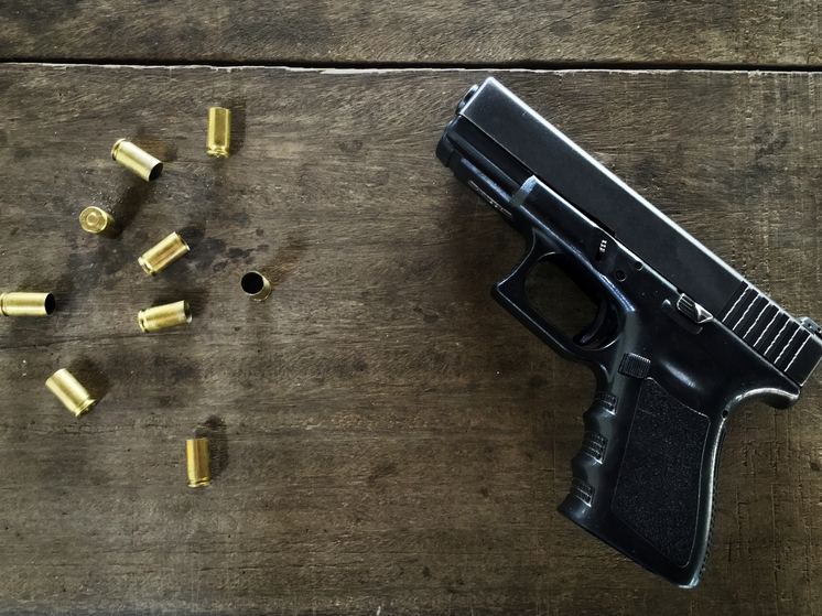 Куряне могут передать охотничье оружие для нужд военных