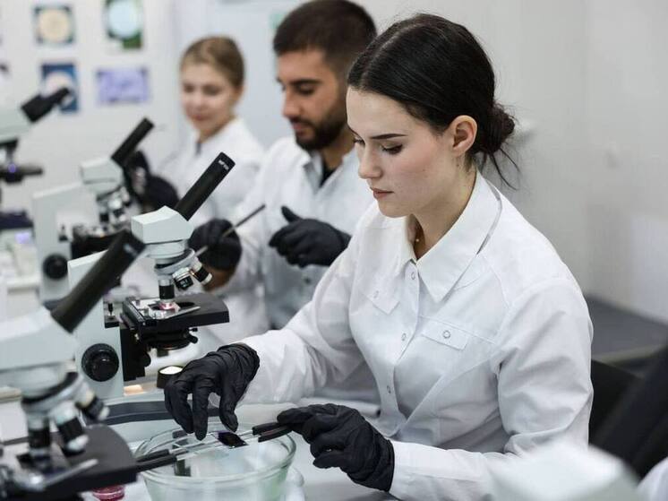 По результатам конкурса Российского научного фонда (РНФ) 12 грантов на общую сумму 36 млн рублей получил Северо-Кавказский федеральный университет