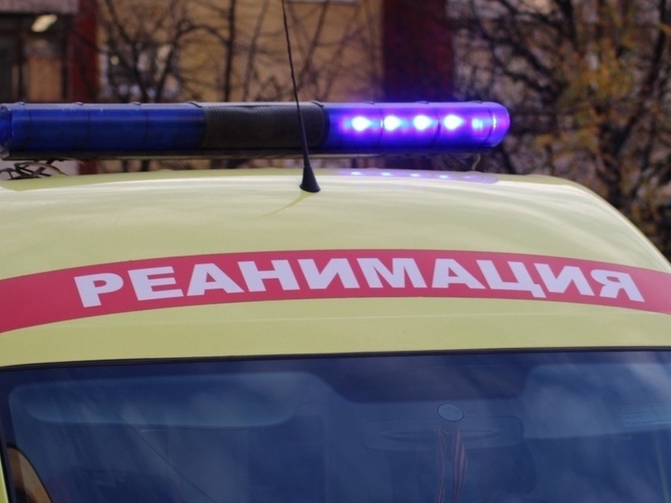 Стала известна причина смерти водителя маршрутки в Туле