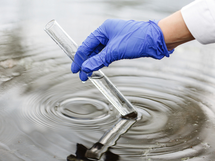 Почти 30 миллионов за грязную Панику: у тамбовского «РКС» требуют возместить ущерб реке