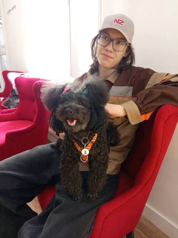 Ветеринарные клиники Ямала проведут день бесплатной консультации 5 декабря