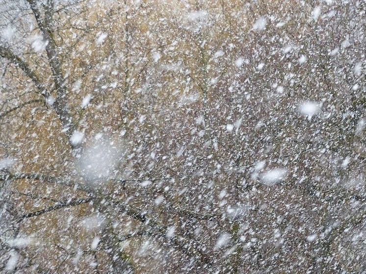 В Хабаровске 5 декабря потеплеет, но усилится ветер