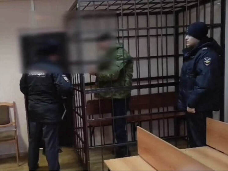 Звениговца заключили под стражу после нападения на человека с ножом