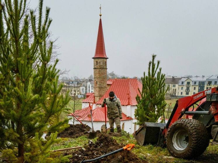 Окрестности Приоратского дворца преобразят по идее его создателя