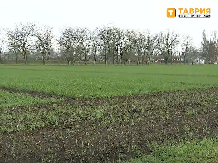 В Херсонской области завершилась осенняя посевная кампания