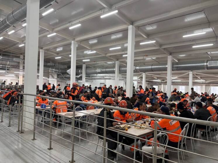 Более 10 тысяч иностранцев прошли в Ленобласти «Школу мигранта»