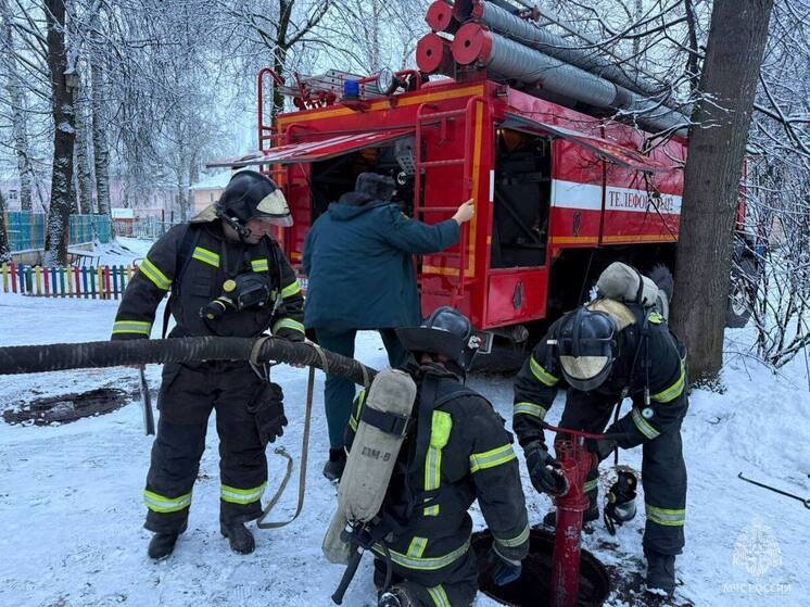 В Малой Вишере огонь уничтожил два сарая
