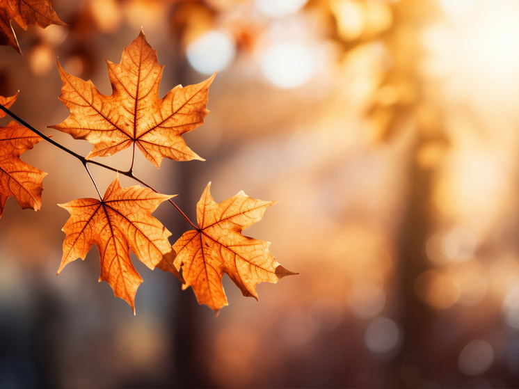 9 градусов тепла прогнозируют в Херсонской области 5 декабря