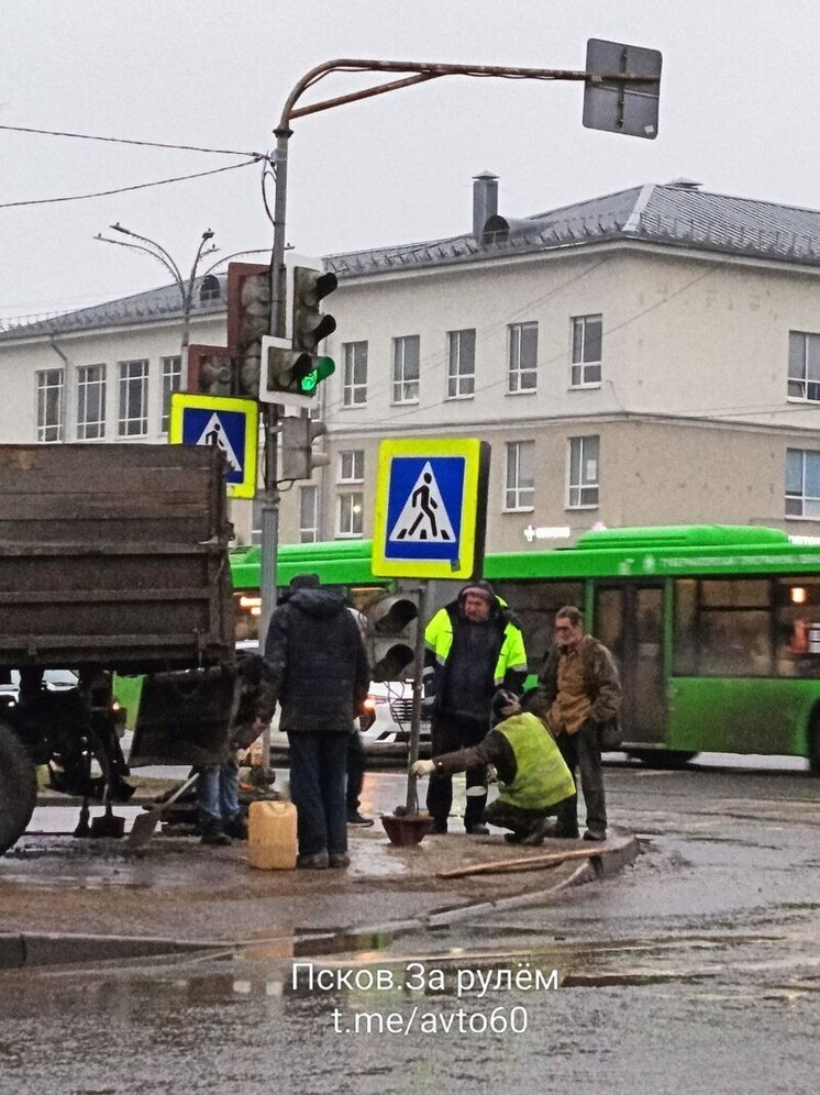"Саженец светофора" посадили в центре Пскова