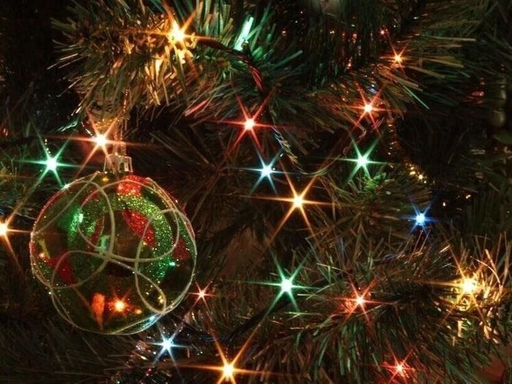 Елку на главной площади карельской столицы вновь зажгли без особых торжеств