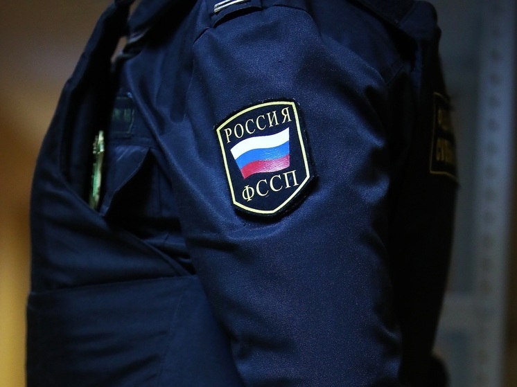 Челябинцу запретили работать, пока он не оплатит долг