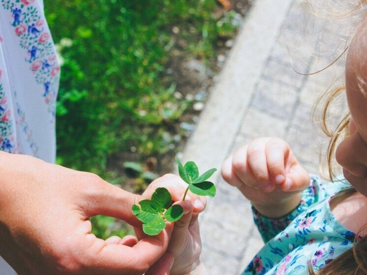 Власти Калининграда готовы заплатить 24,7 млн за теплоснабжение детского сада