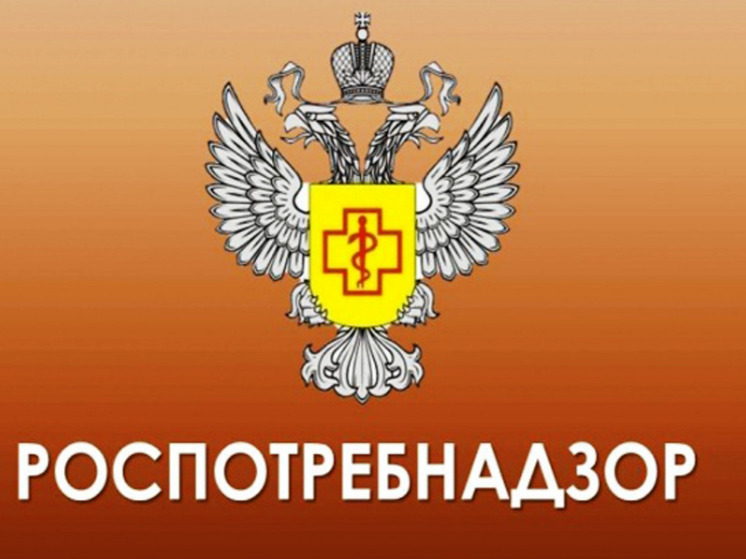 Серпуховичей приглашают пройти опрос Роспотребнадзора по подготовке к новогодним мероприятиям