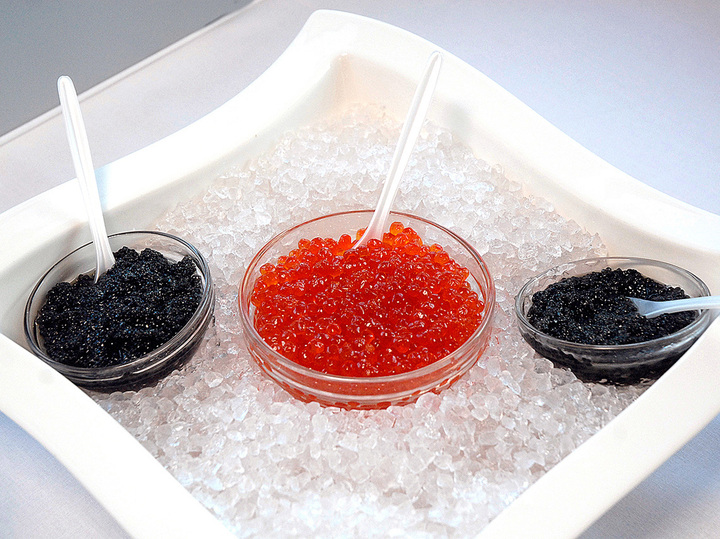 Эксперты раскрыли секреты «правильного новогоднего стола»: как пить, чтобы выжить