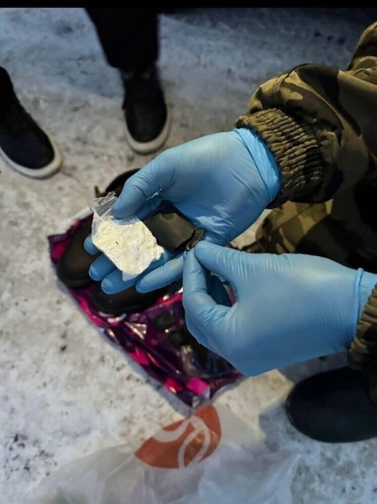 Крупный наркодилер из Жердевки получил 12 лет строгого режима