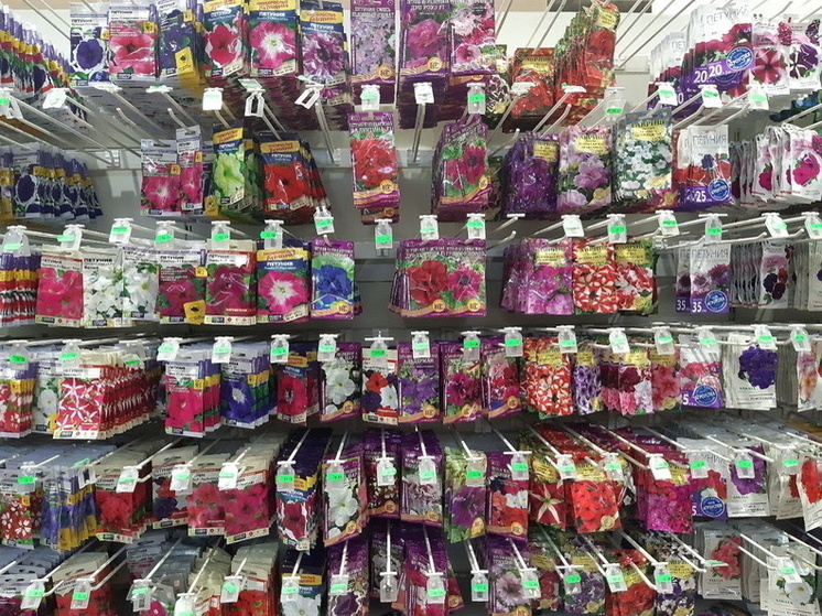 Более шести тысяч упаковок семян задержаны на границе в Омской области