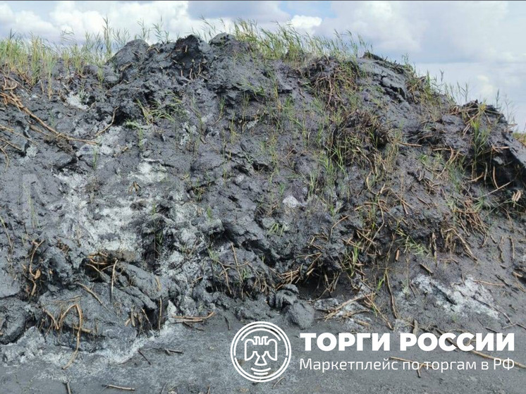 Земельный участок с угольным шламом  «Шахты Ростовской» выставили на торги за 100 млн рублей