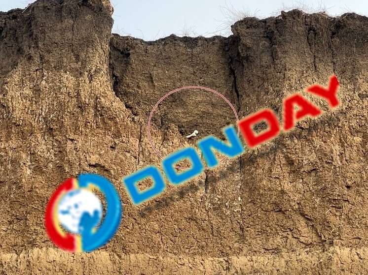 Человеческие кости с разрушенного кладбища подают в Таганрогский залив