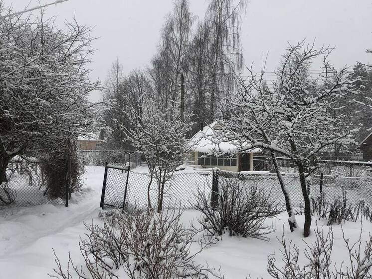 Авито: петербуржцы хотят жить за городом