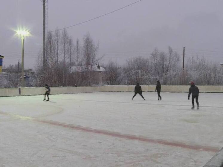 Костромской бизнесмен отдал городу ледовый корт