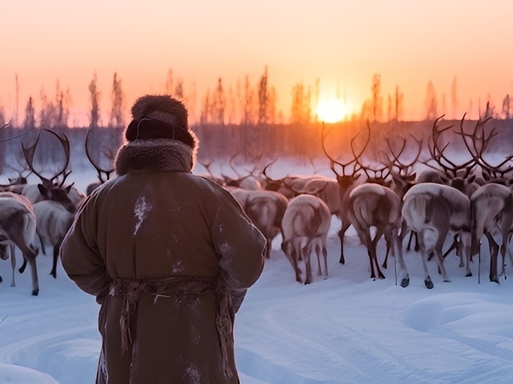 В НАО доставили учебники по краеведению «Наш край»