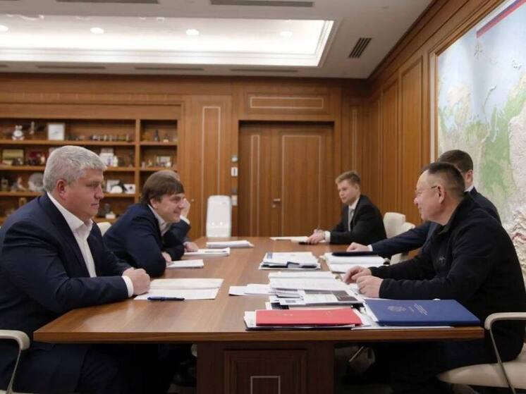 Дронов и Файзуллин обсудили реализацию пилотного проекта в Новгородской области