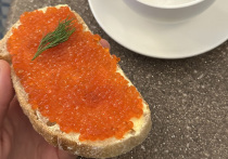 В преддверии Нового года мошенники решили создать сайты, на которых якобы можно приобрести красную икру и морепродукты. В итоге петербуржцы теряют деньги и остаются голодными.