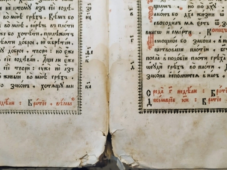 Преображение для книг: результатами работы биолога-реставратора поделились в псковском музее