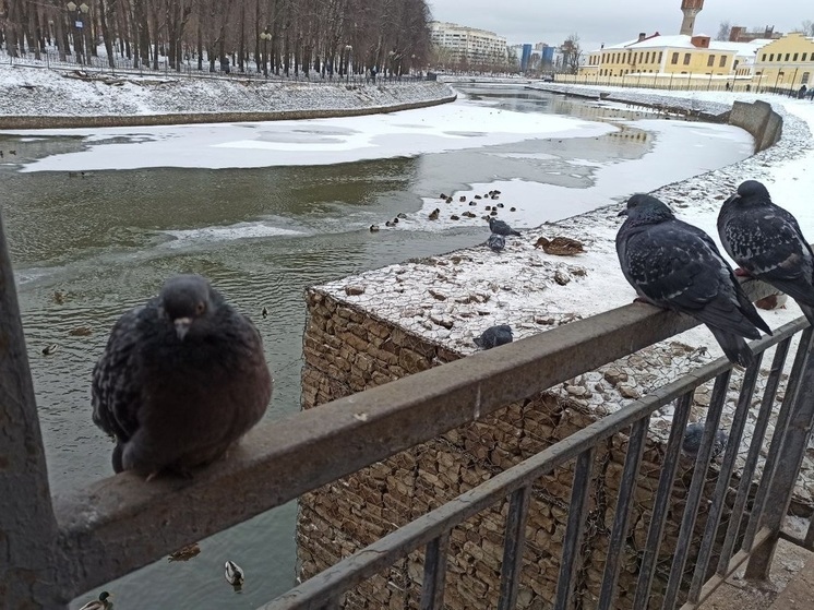 На Ивановскую область надвигается мокрый снег