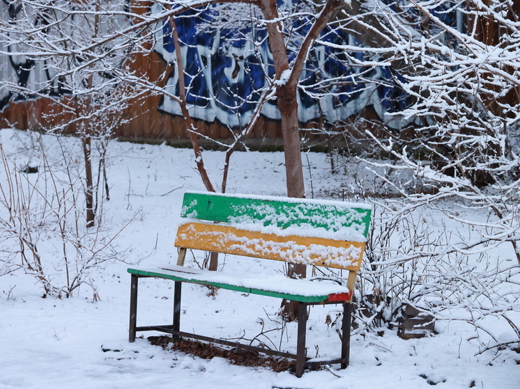 Снег может пойти в пятницу на Южном Урале