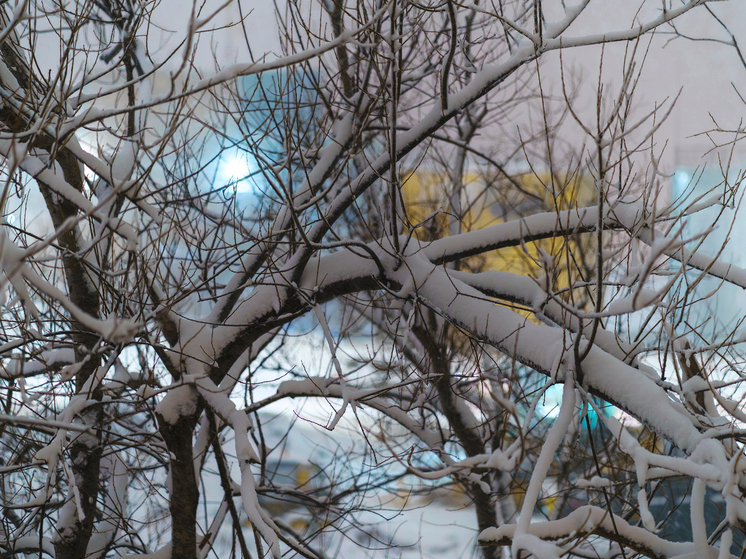 Синоптики уточнили прогноз погоды на Сахалине и Курилах на 5 декабря