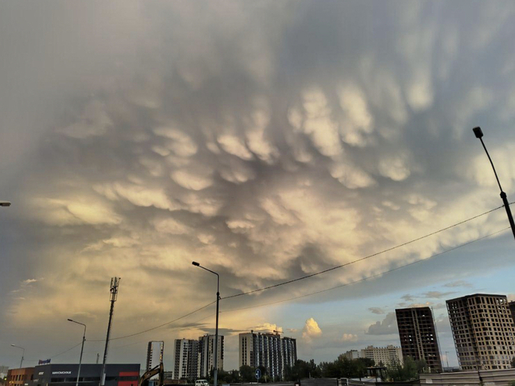Новый штормовой фронт накроет Новосибирскую область 5 декабря