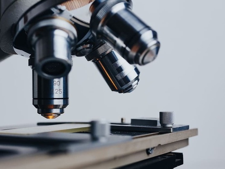 ДНР наращивает долю семян высоких репродукций