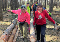 «Вы там нас защищаете, мы тут вам помогаем»

Группа «Бревна31» (31-й номер на автомобильном знаке соответствует Белгородской области) образовалась в 2022 году