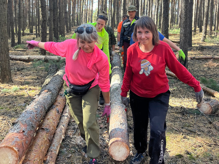 «Вы там нас защищаете, мы тут вам помогаем»

Группа «Бревна31» (31-й номер на автомобильном знаке соответствует Белгородской области) образовалась в 2022 году