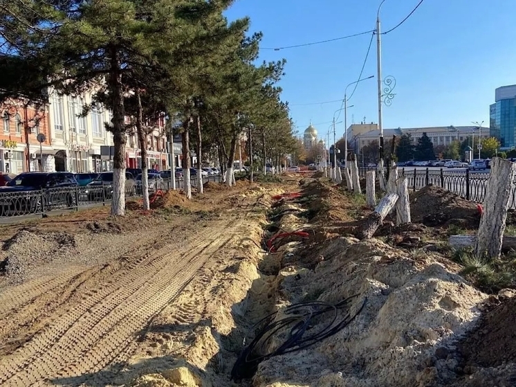 В Новочеркасске проведут компенсационную высадку на Платовском до конца года