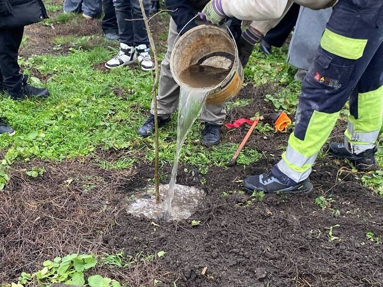 В Мелитополе Запорожской области открыли Аллею Единства в честь Дня добровольца