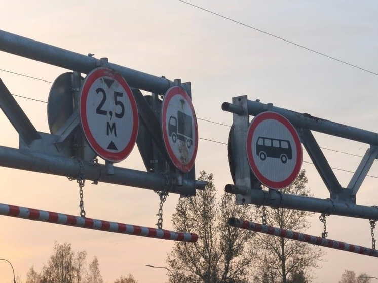 Ярославцы обеспокоены, что на маршруте школьных автобусов будут установлены рамки