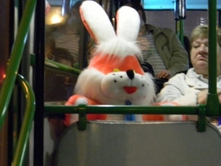 В Ярославле посчитали деньги за штрафы в общественном транспорте