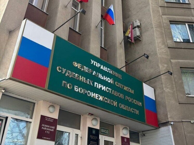 Воронежский адвокат Жеребятьев проведет 2 месяца под домашним арестом