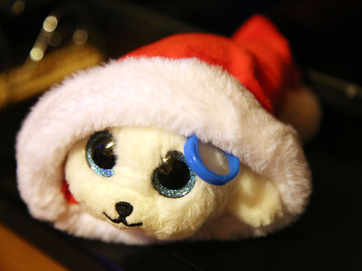 Поздравления с Новым годом-2026 сестре