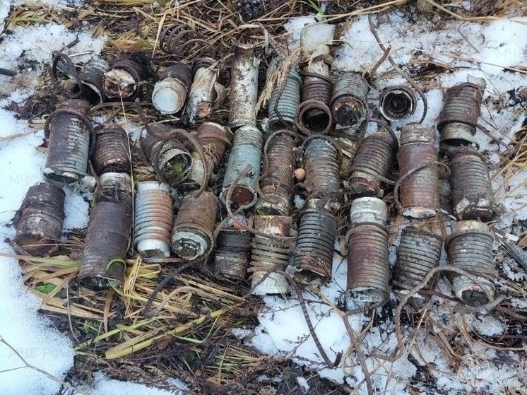 Снаряды и тротил времен Великой отечественной войны нашли в Тверской области