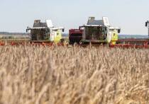 В Арбитражных судах Тулы и Калуги в 2025 году завершился суд между ООО «Воловская техника» и «Сбербанком» за средства субсидии в размере 19,7 млн рублей