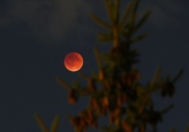 Последний месяц 2025 года порадует большим числом астрономических событий